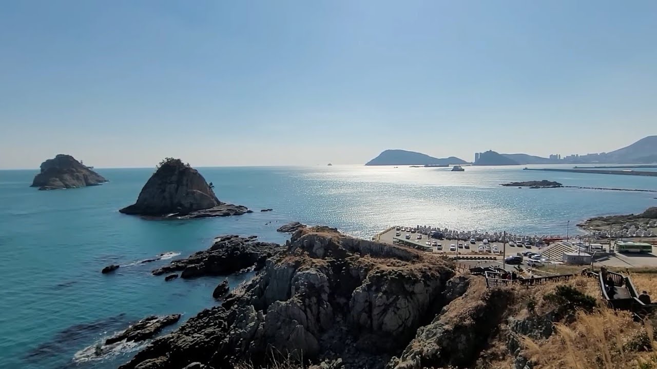 M. ray / Oryukdo Island, Igidae, Busan, Korea