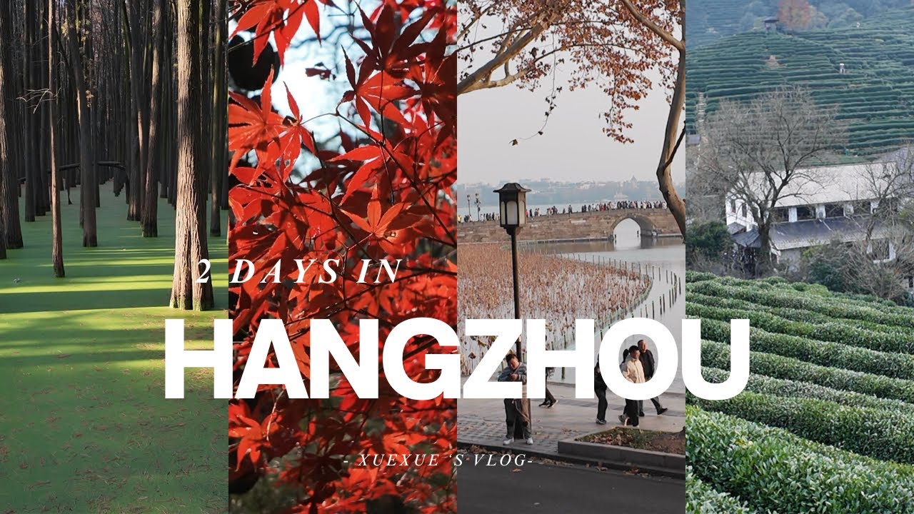Explore Hangzhou | 2 Days Itinerary | West Lake | Lingyin Temple | Tea Village | China Vlog