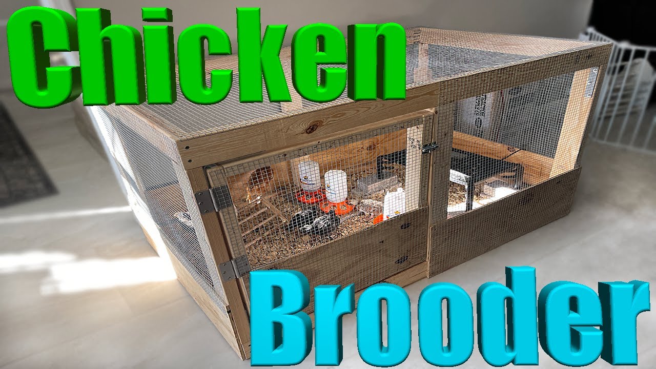 DIY Chick Coop Brooder