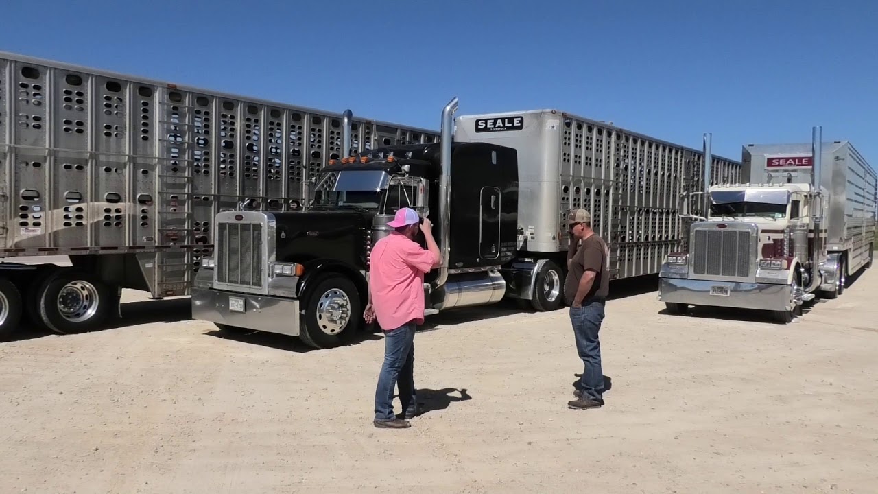 Anthony Seale at Sweetwater, TX
