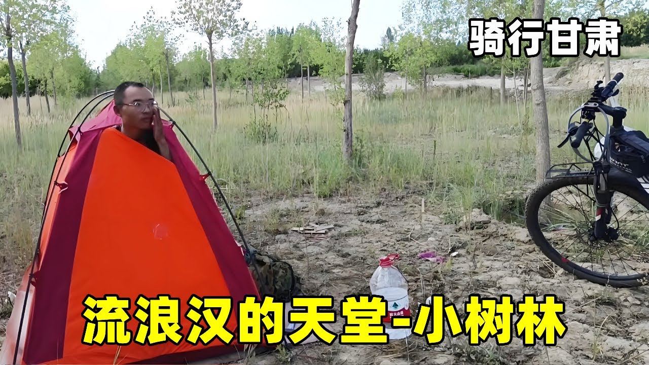 这里是流浪汉的天堂，酒泉市中心的一片小树林，没人发现 #穷游 #露营 #户外生活
