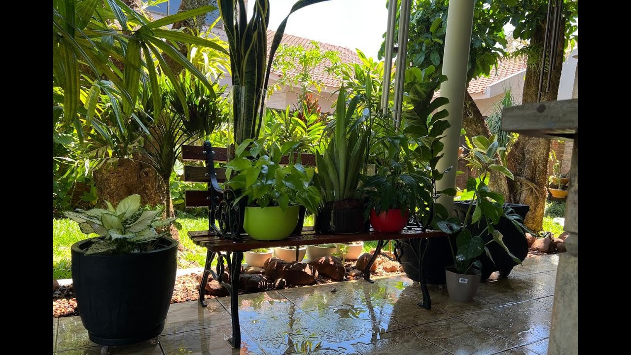 COMO CUIDAR DA PLANTAS QUANDO O VASO NÂO TEM FUROS. MAIS UMA PERDA POR AQUI.🥲 Ateliê Florescer
