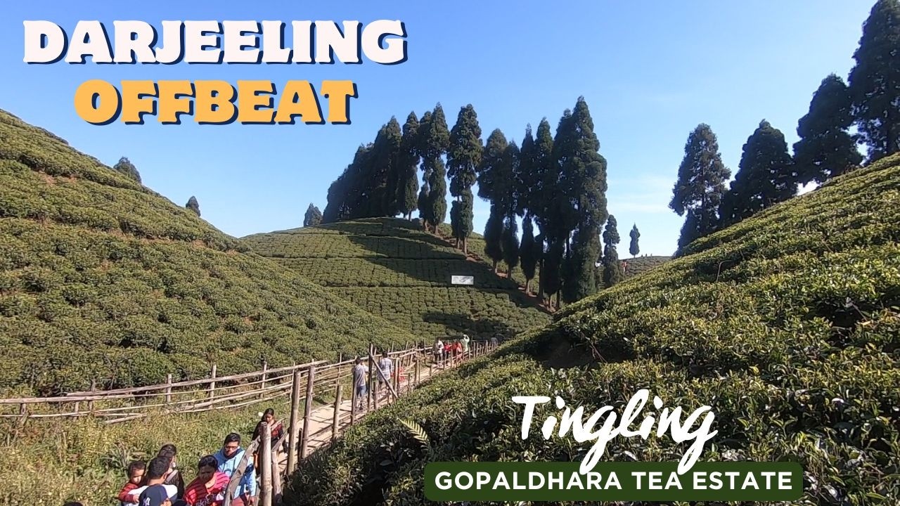 Offbeat Darjeeling | Tingling View Point | Mirik | Gopaldhara