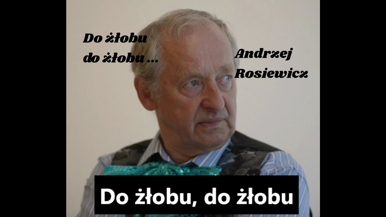 Do żłobu, do żłobu - Andrzej Rosiewicz