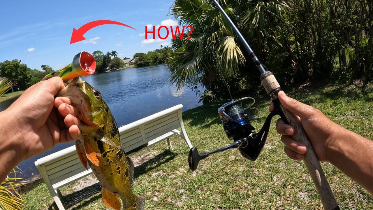 TRYING SALTWATER LURES IN A SMALL FRESHWATER POND