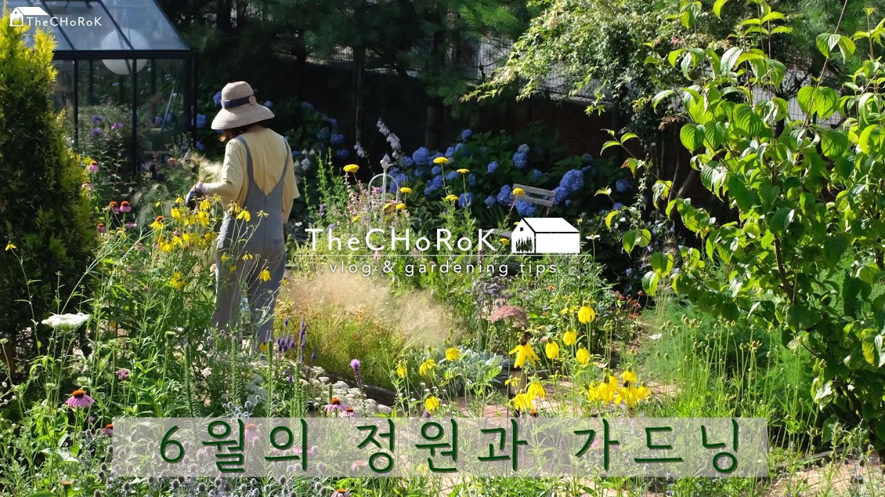 6월을 가득 닮은 영상 | 초여름정원 | 다년초  | 파종 일년초 | 여름 가드닝