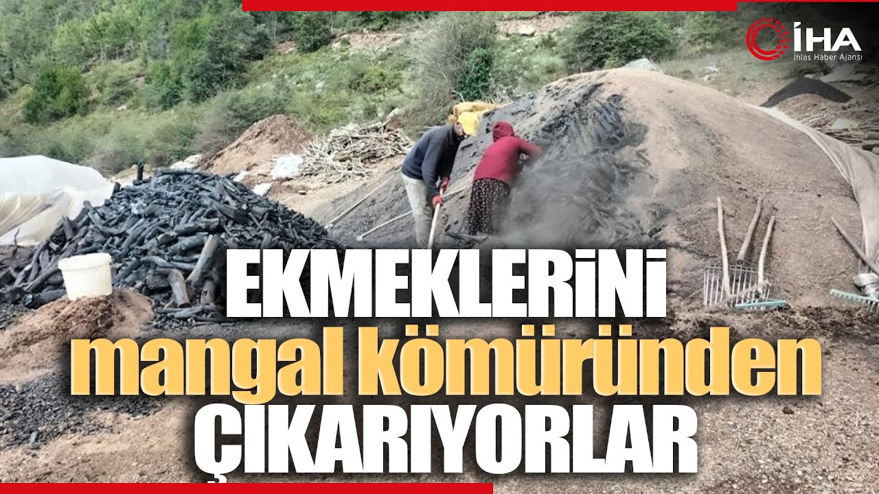 Ormanlarda Tahrip Olan Ağaçları Kömür Yaparak Ekonomiye Kazandırıyorlar