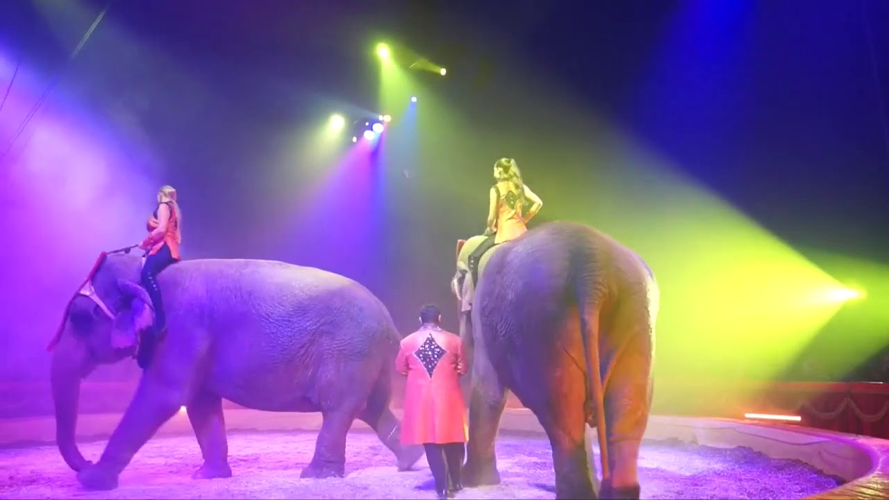 American Circus - Nuovo show 