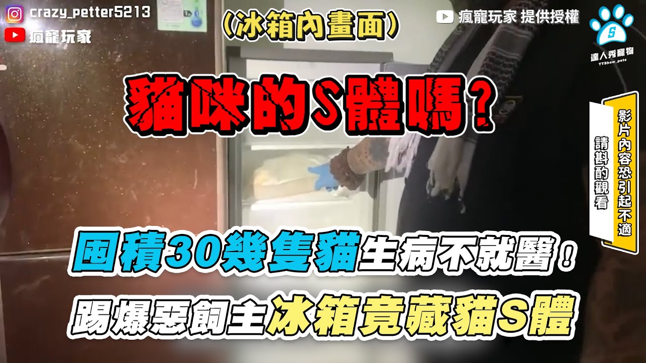 【囤積30幾隻貓生病不就醫！ 踢爆惡飼主冰箱竟藏貓S體】｜@crazypetter