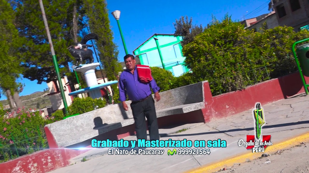 VIDAL ROJAS CANALES HUANCA DE PUQUIO