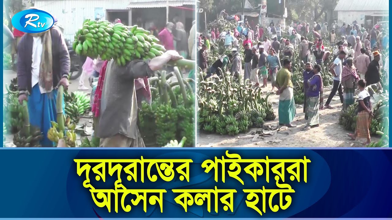 নরসিংদীর যে হাটে প্রতিদিন বিক্রি হয় ৫ থেকে ১০ লাখ টাকার কলা | Narsingdi News | Rtv Exclusive News