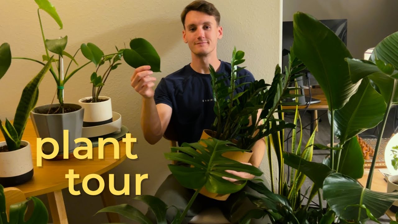 my first apartment | moving in, plants, japan haul