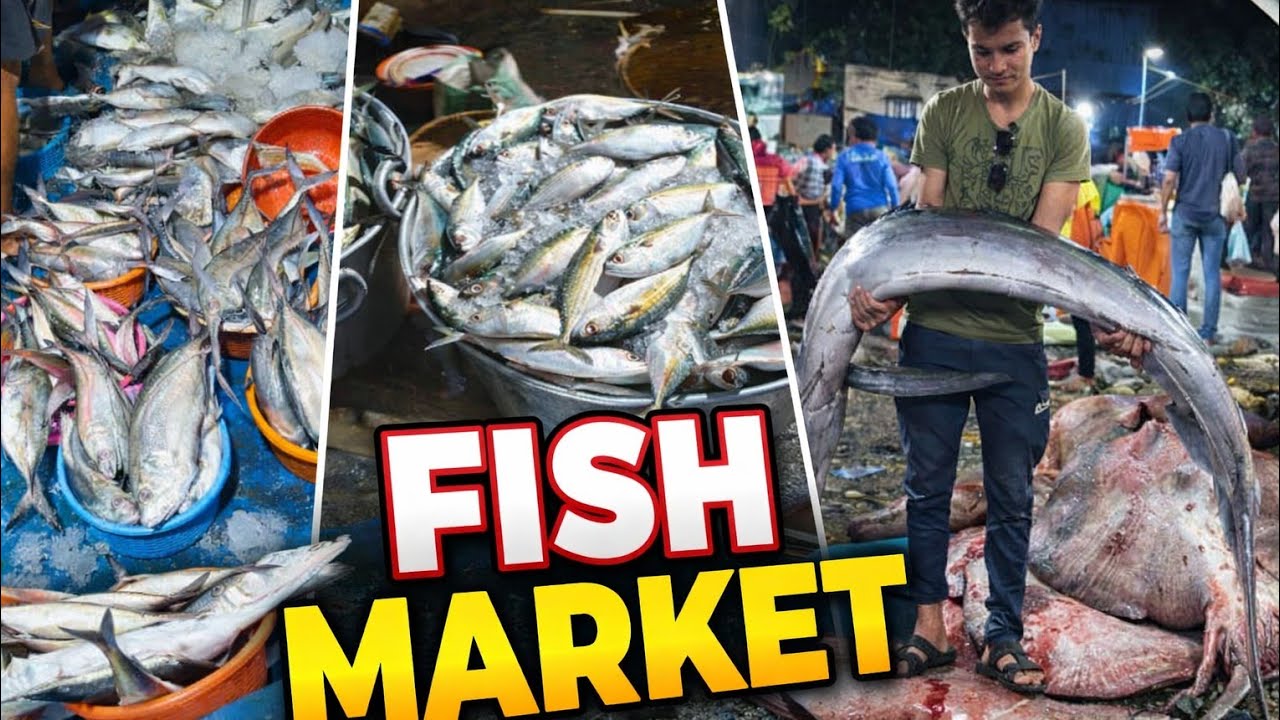 ভারতের সবচেয়ে বড় মাছ বাজার?😱Mumbai Sassoon Dock Fish auction#fish 