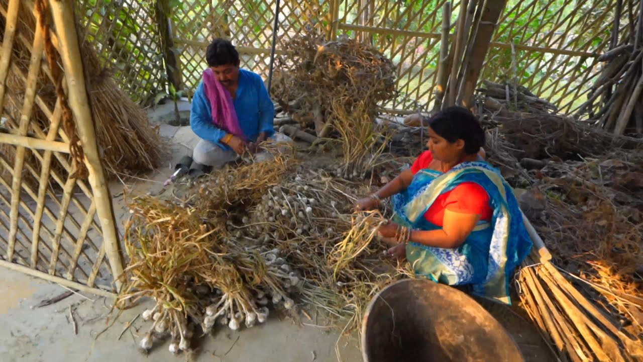 Farmhouse mai kya kar rahe ho ?