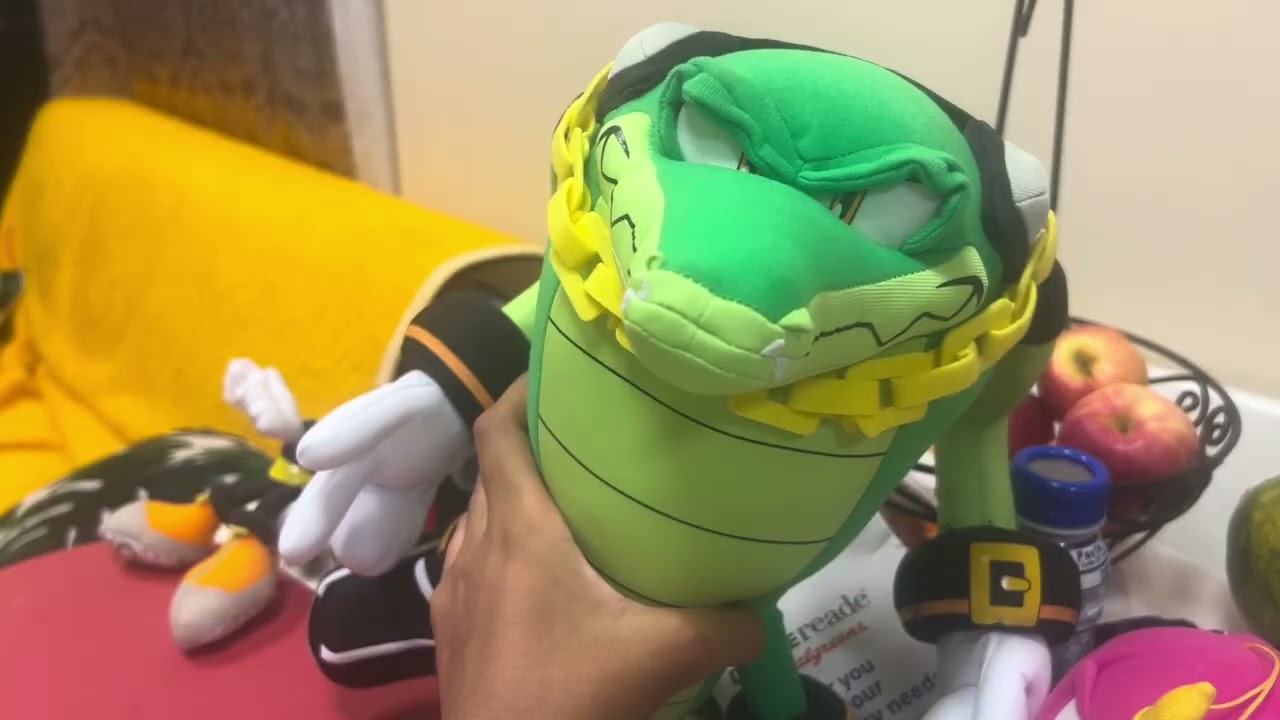 Chaotix Detective Agency