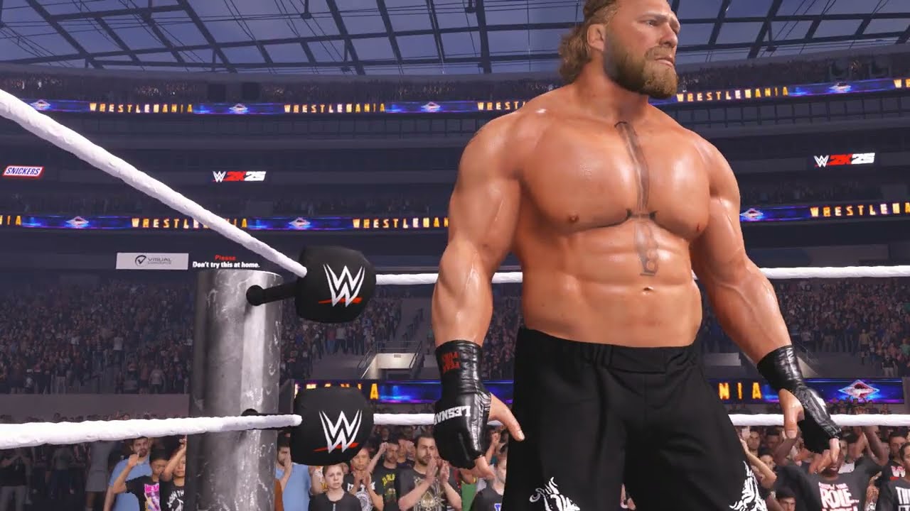 BROCK LESNAR VS ROMAN REGINS CHAMPIONSHIP MATCH