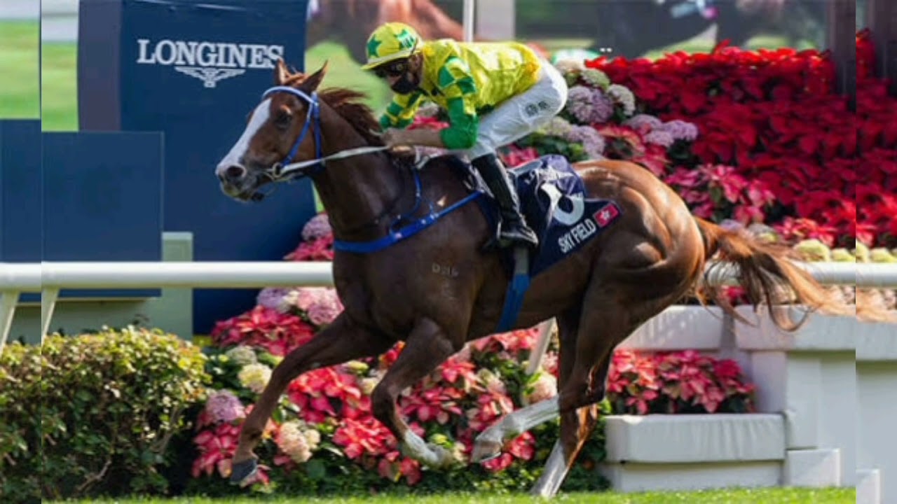 🔥🐎 18連勝達成！カーインライジング、香港スプリントの王者に👑✨
