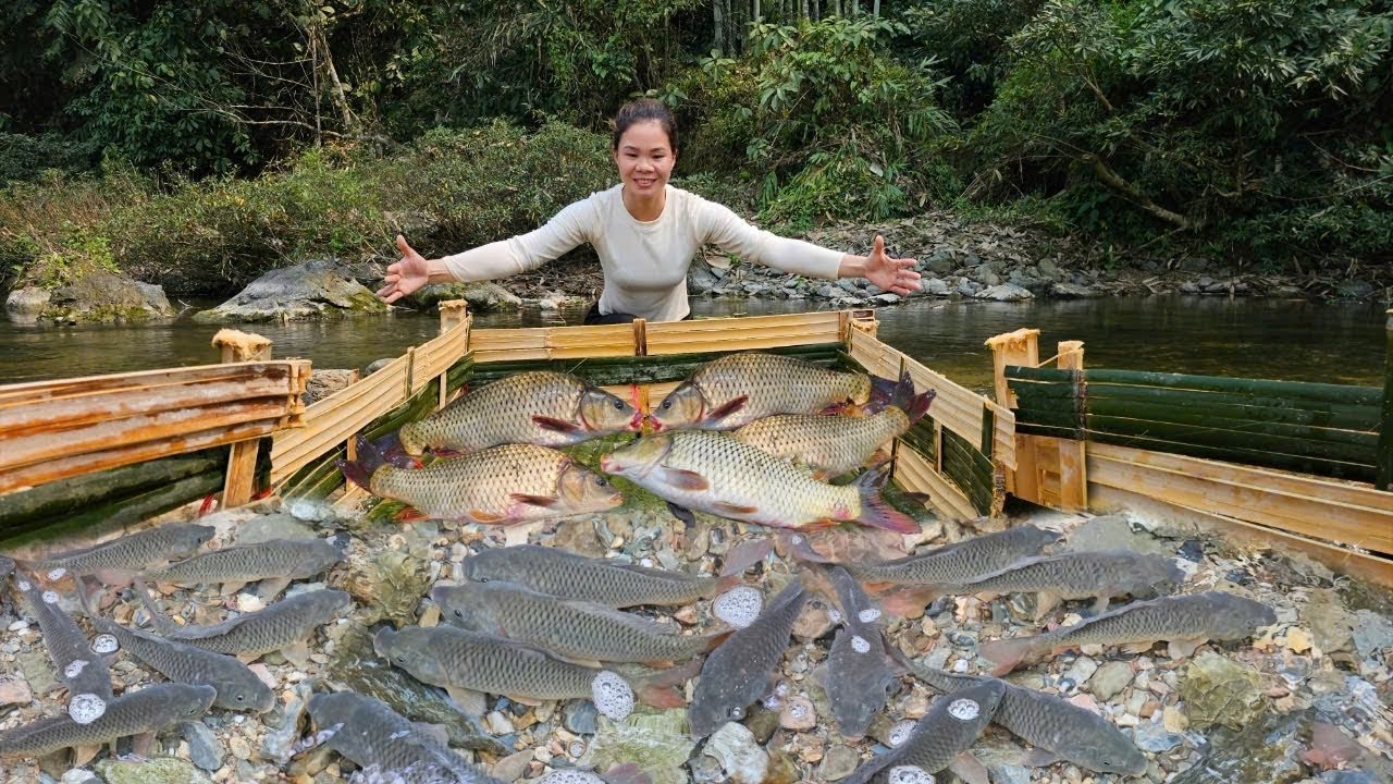 The bamboo fishing skill is amazing. The girl caught a lot of fish from her bamboo trap.
