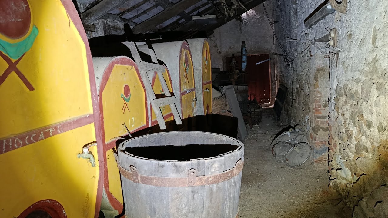 Splendida fattoria tra i boschi.