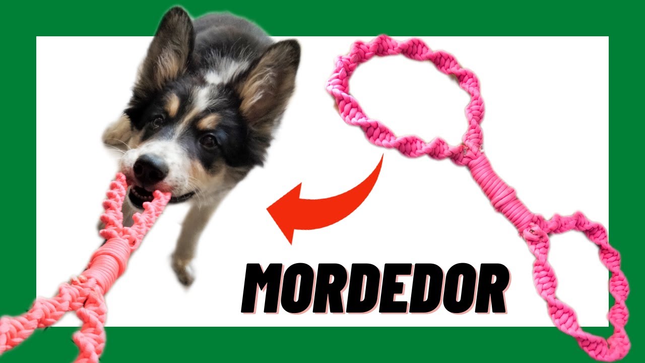 👉 Cómo hacer MORDEDOR RESISTENTE para PERROS con DOBLE ASA 🐶 | Juguetes para CACHORROS | MUY FÁCIL ✅