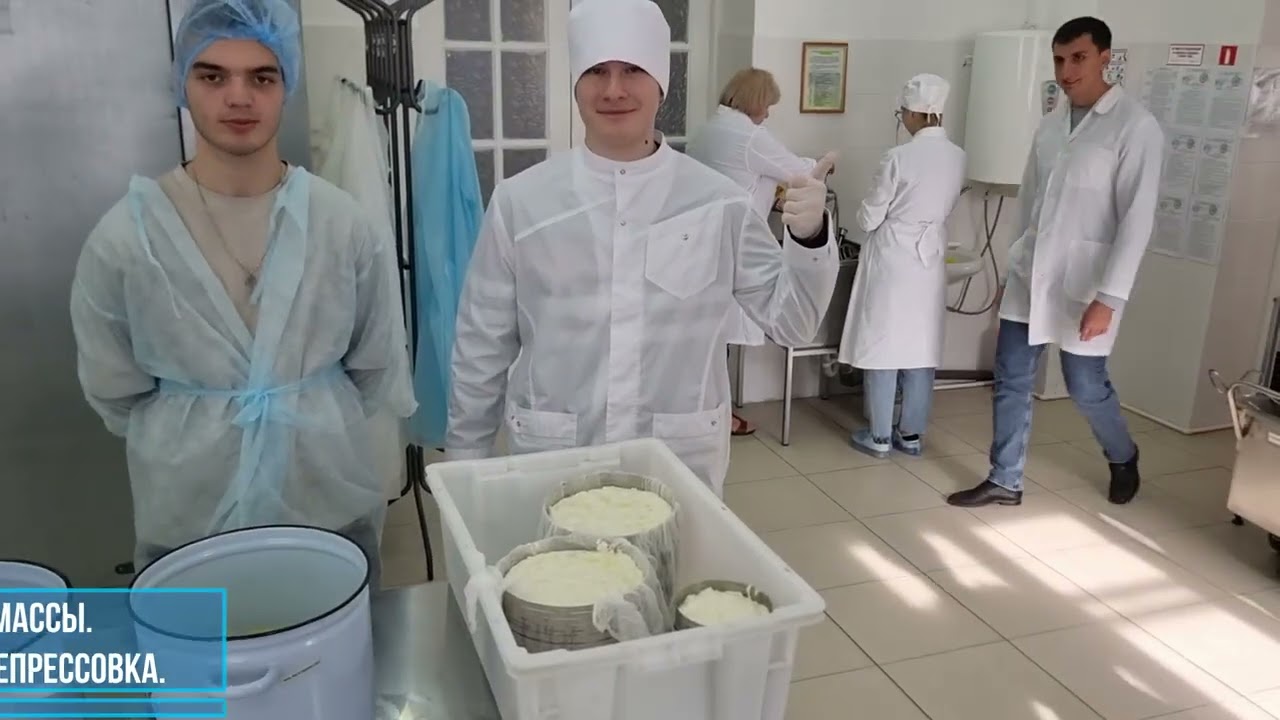 Технологическая выработка рассольного сыра Брынза