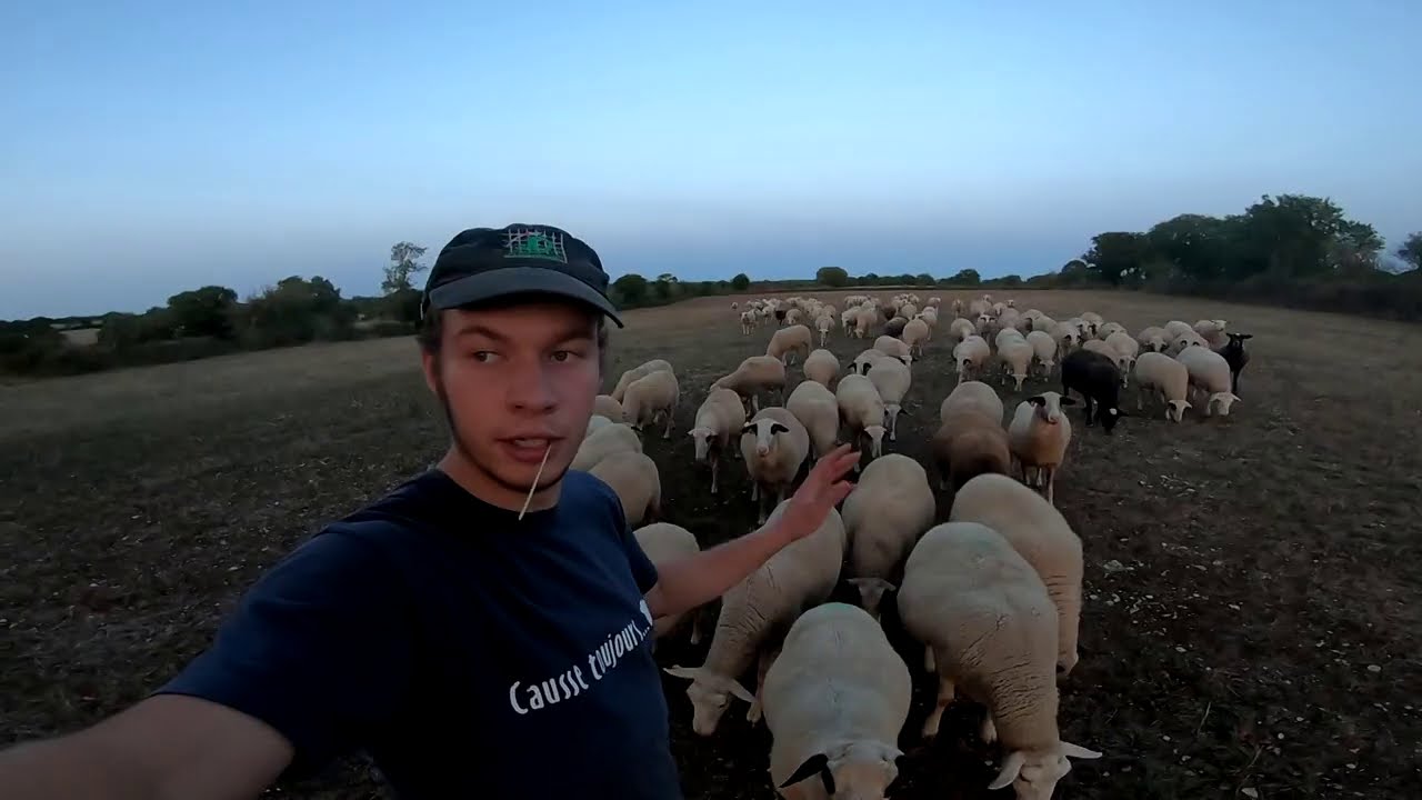 [GoPro&Nikon] Quelques jours à la ferme au mois de Septembre 2020