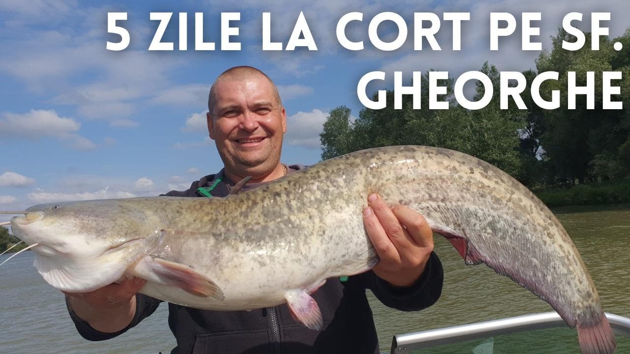 5 zile de pescuit la cort pe bratul Sfantu Gheorghe, Delta Dunarii, cu capturi de somn si crap