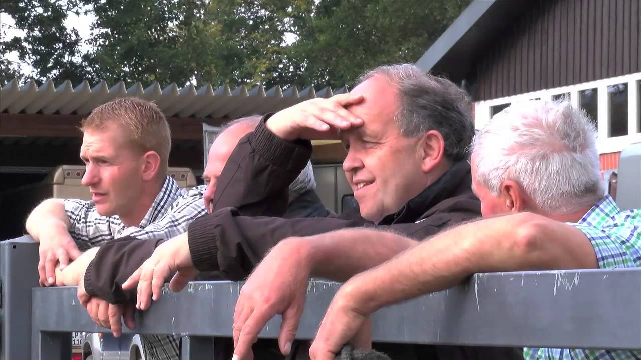 Dressurleistungszentrum Lodbergen 2015Lodbergenfilm