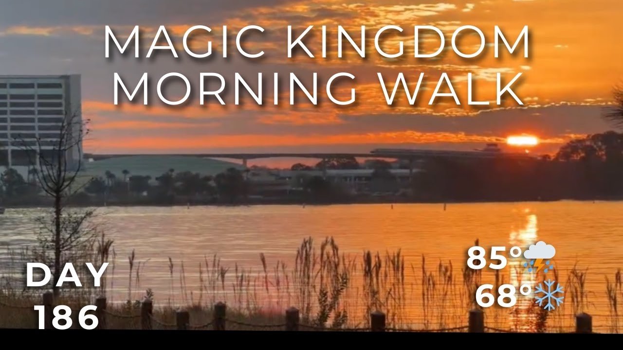 🔴 LIVE: Morning — Calm Disney World Walk & Shows + rides | Day 186 | #TDWSS