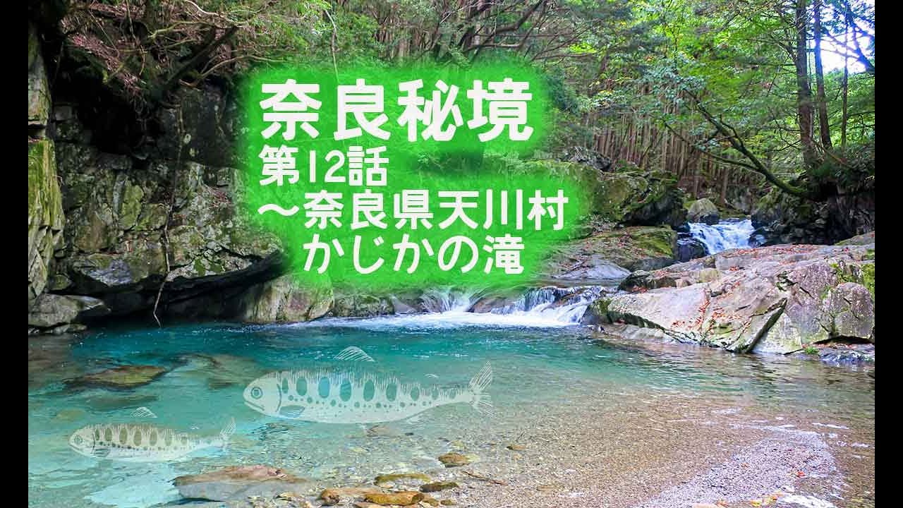 【奈良・天川村】かじかの滝と天然アマゴ　洞川温泉そばの清流で癒される渓谷の夏景色