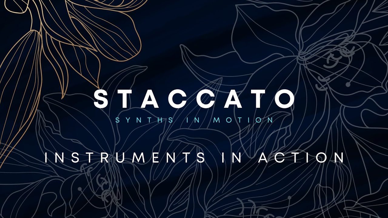 Staccato // Artistry Audio - Instruments In Action