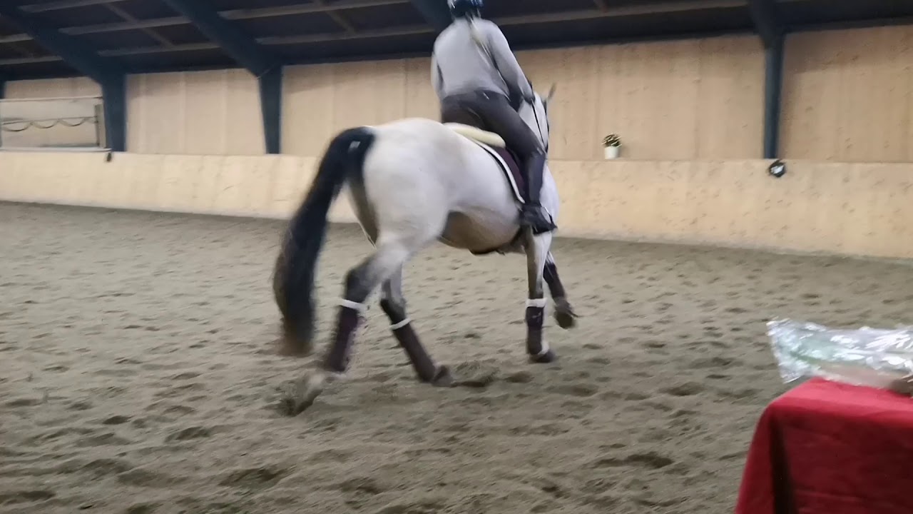 Tynagh Flower och jag tr&auml;ning Johanna Due-Boje