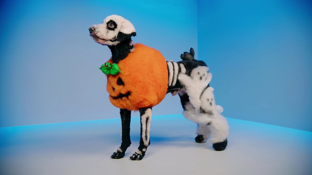 Alyssa Gets a Standing Ovation for Her Halloween Groom - Pooch Perfect
