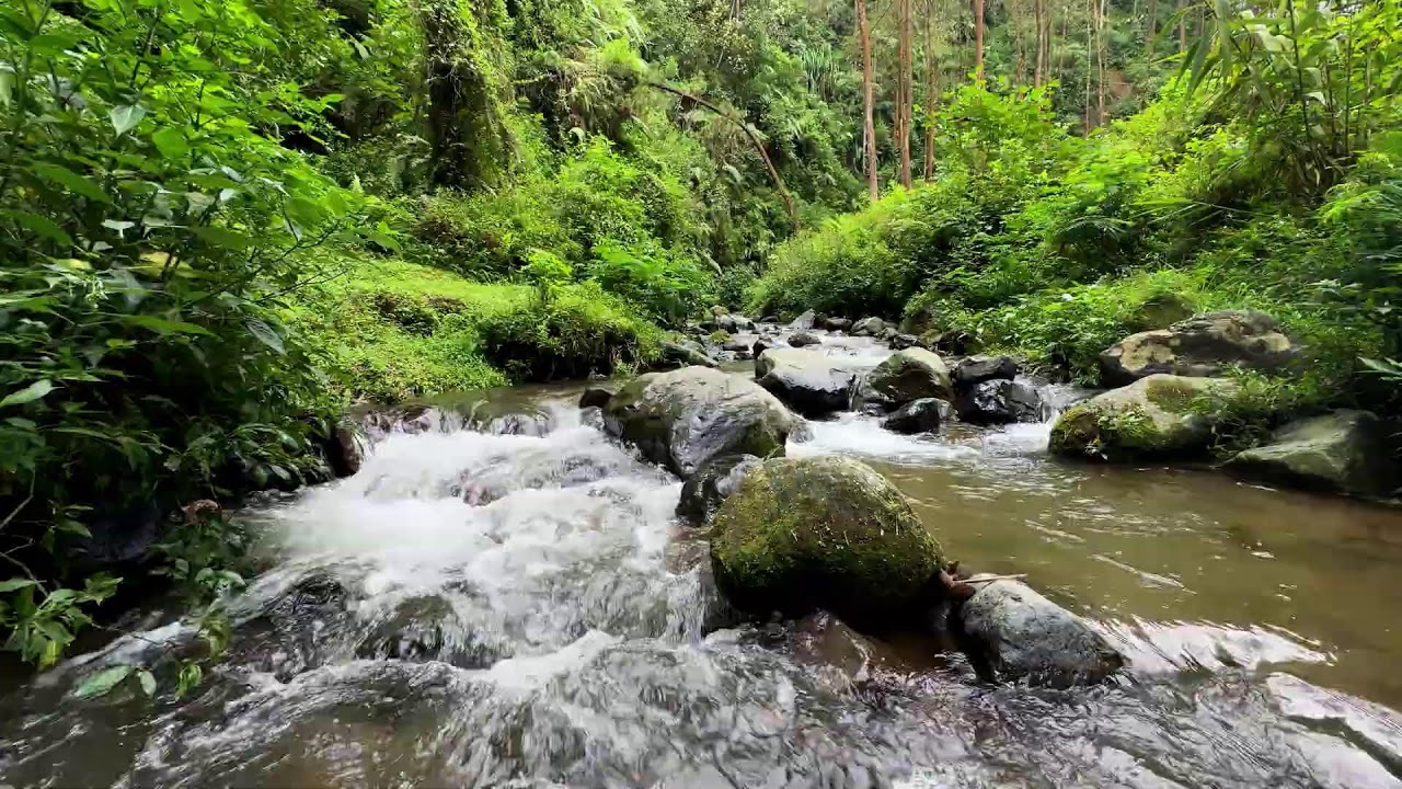 Feel calm with peaceful river ambience around soft flowing water for deeper restful sleep