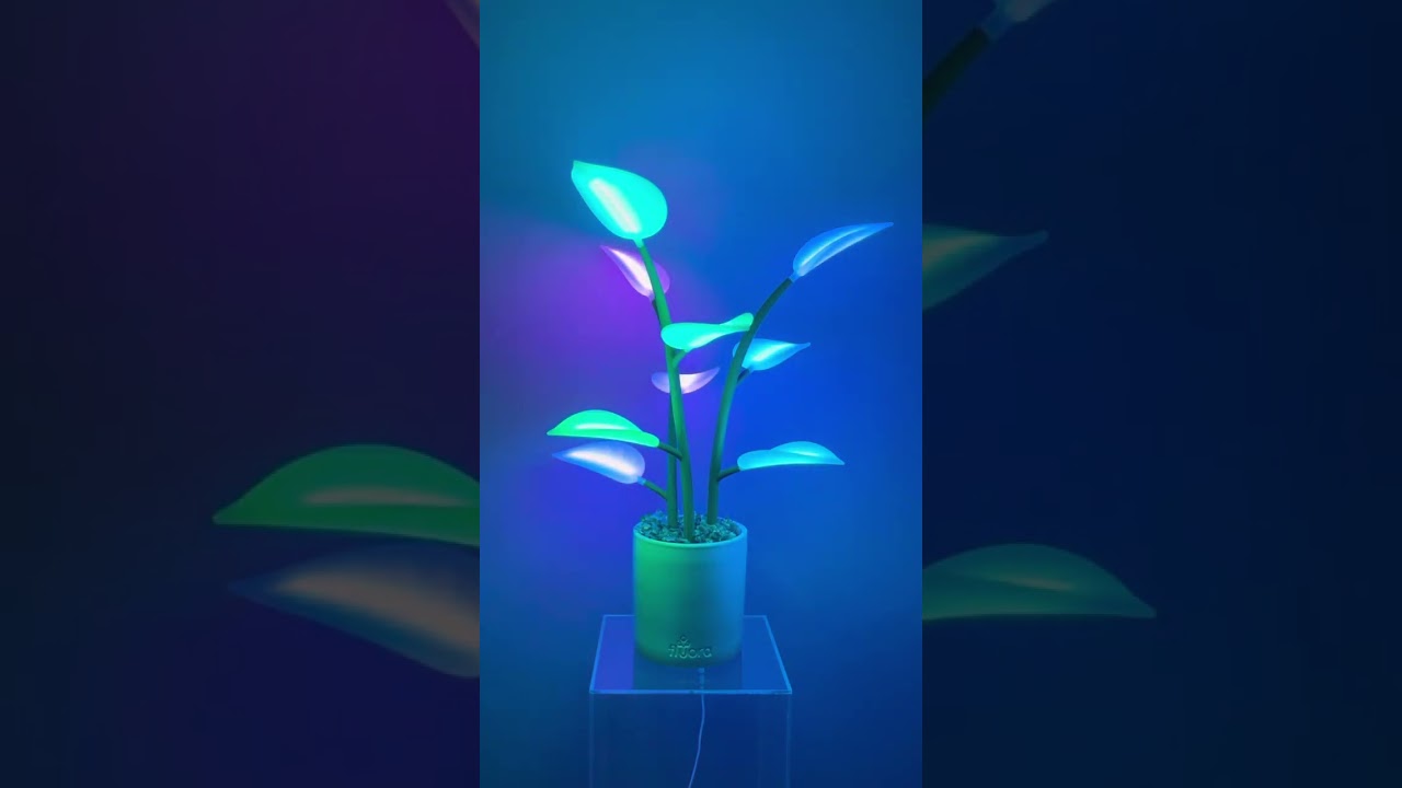 Fluora Mini now shipping #lighting #interiordesign #smarthome #smartgadgets #homedecor #digitalart