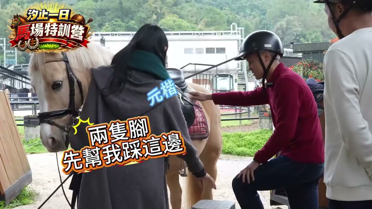 【馬上成功！】羅智強子弟兵楊植斗 x 何元楷：直擊汐止專業馬場，馬年挑戰競技馬術！