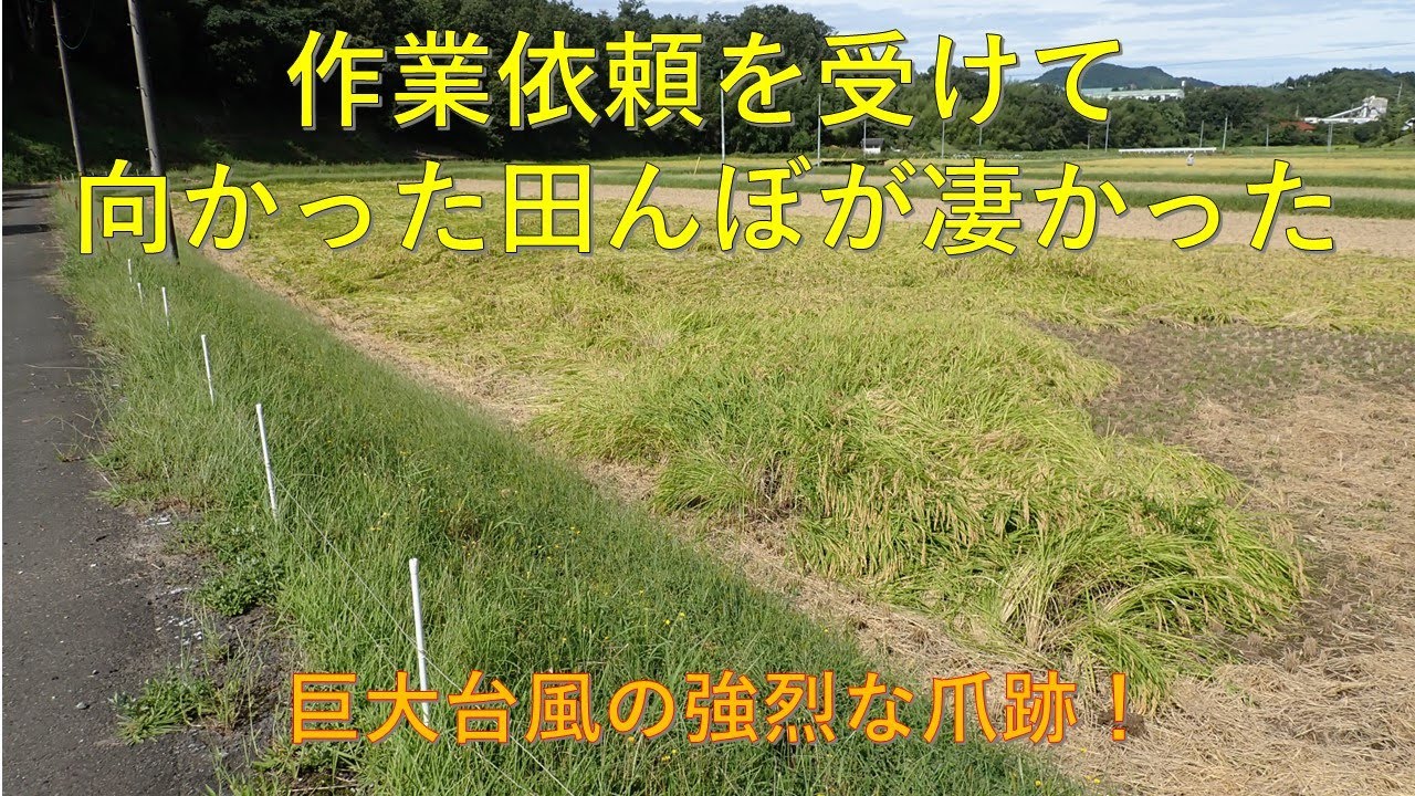 第４２３回　台風通過でＳＯＳ多発！！倒伏稲の刈取り作業！