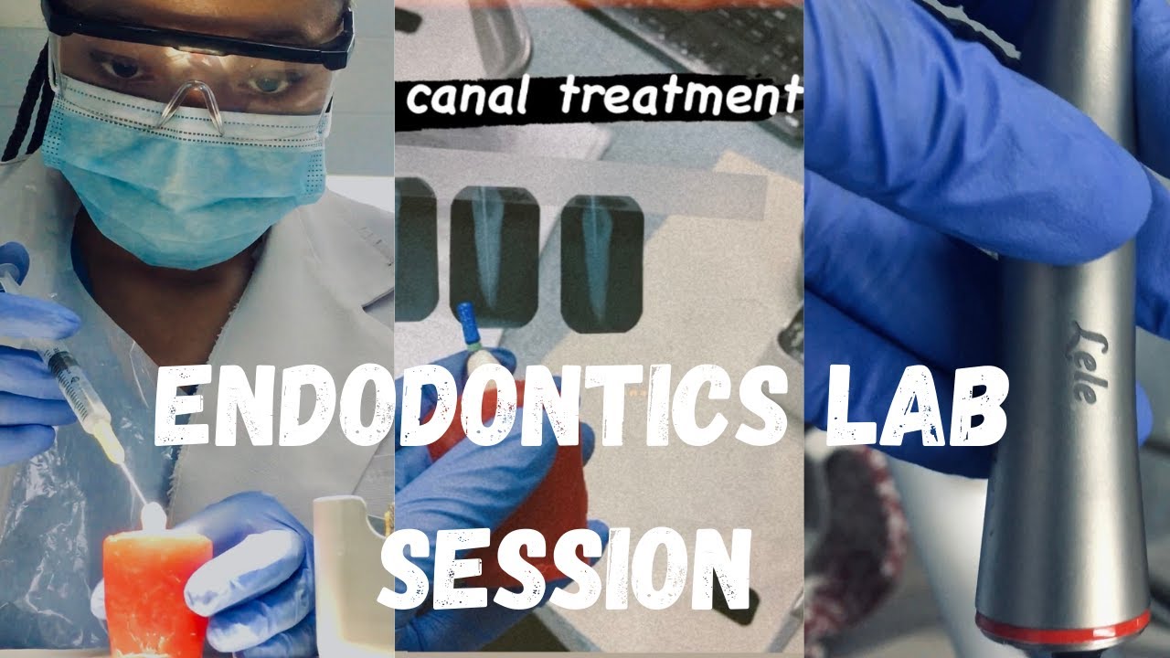 Day in the Life of a Wits Dental Student: Endodontics Lab Session