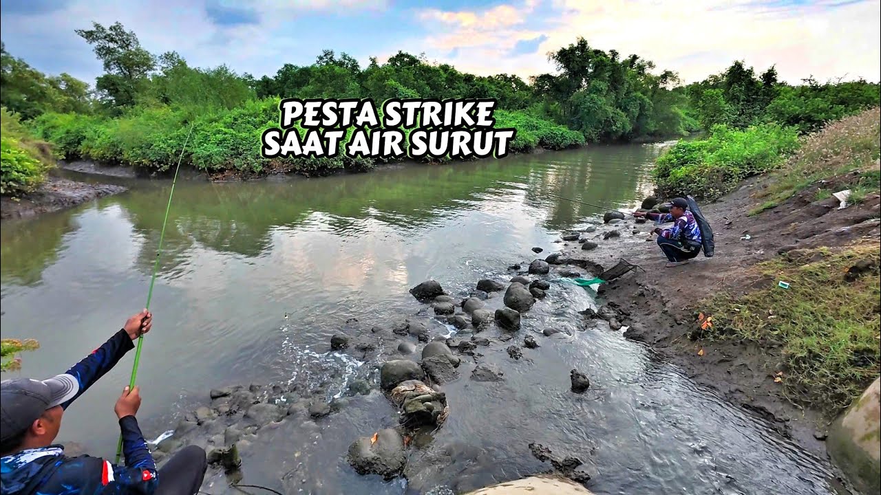 Niat Mancing ikan Nila,Malah Pesta Strike ikan Mba Bela