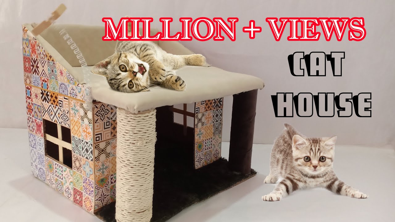 how to make amazing kitten | cat pet house from cardboard /Cat House / Kitten House
