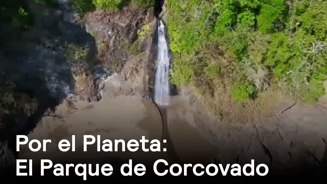 Por el Planeta: Parque de Corcovado, corazón de la biodiversidad en Costa Rica - Despierta con Loret