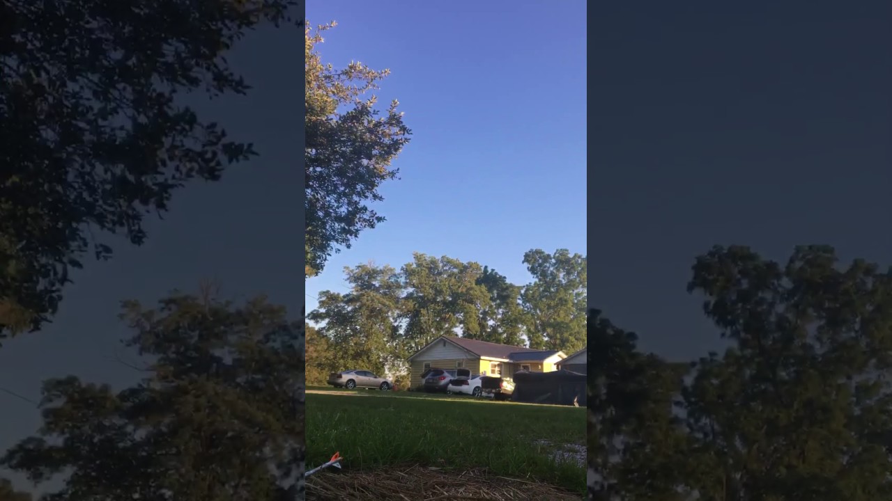PSE Bow Madness Epix 50 yard shot