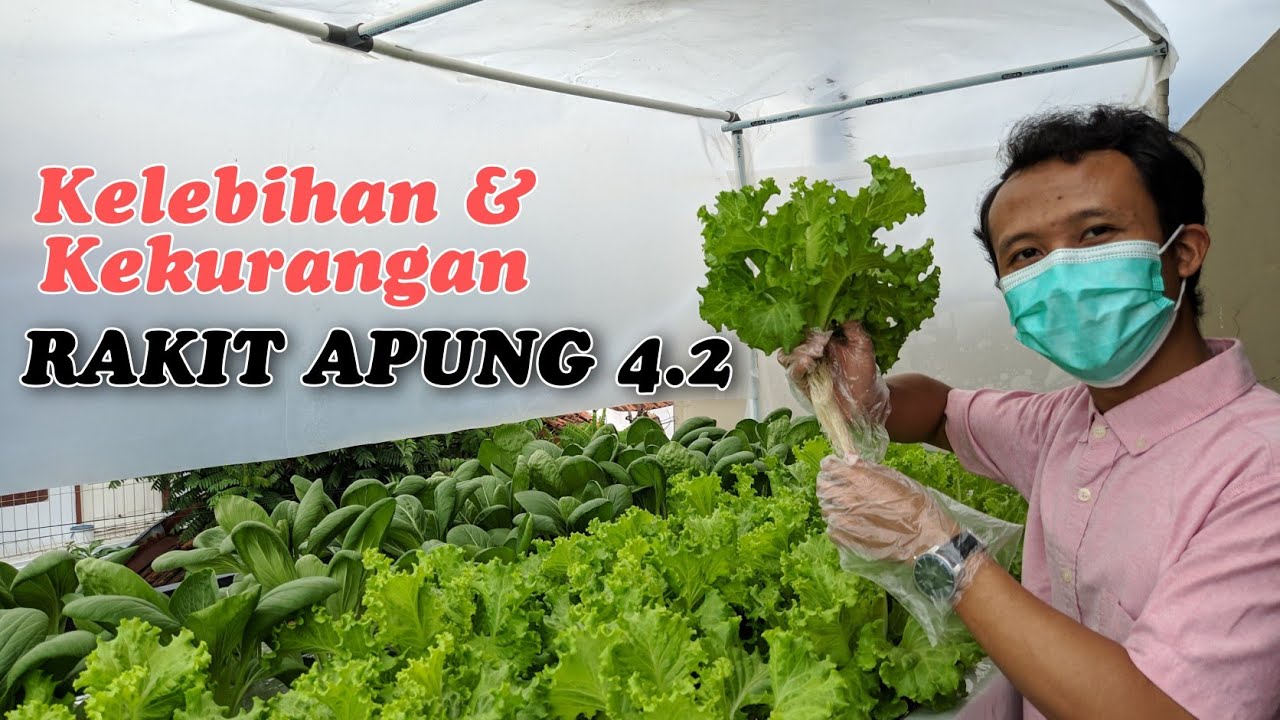 Review Hidroponik Rakit Apung Gen 4.2