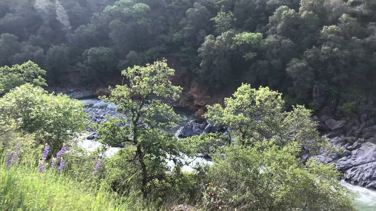 Nature Appreciation Moment