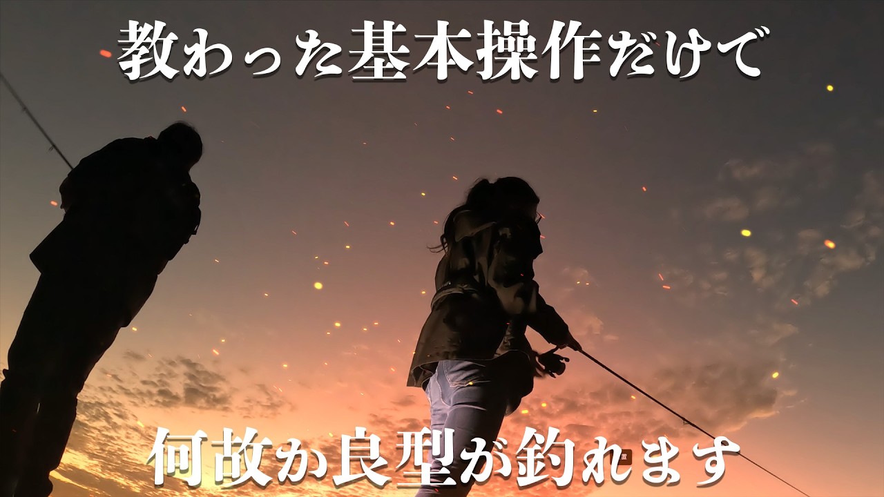 【エギング】老練エギンガーの的確なアドバイスを守って操作したらキロ烏賊がよく釣れました。2024 11月 エギング アオリイカ