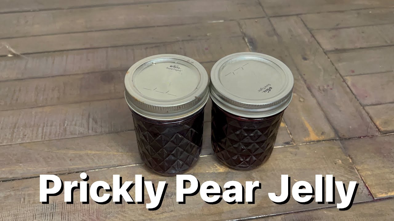Prickly Pear Jelly (No Pectin Added)