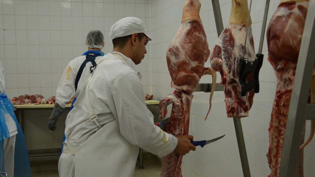 Szakma Kiv&aacute;l&oacute; Tanul&oacute;ja Verseny (h&uacute;sipari &eacute;lelmiszerfeldolgoz&oacute;)