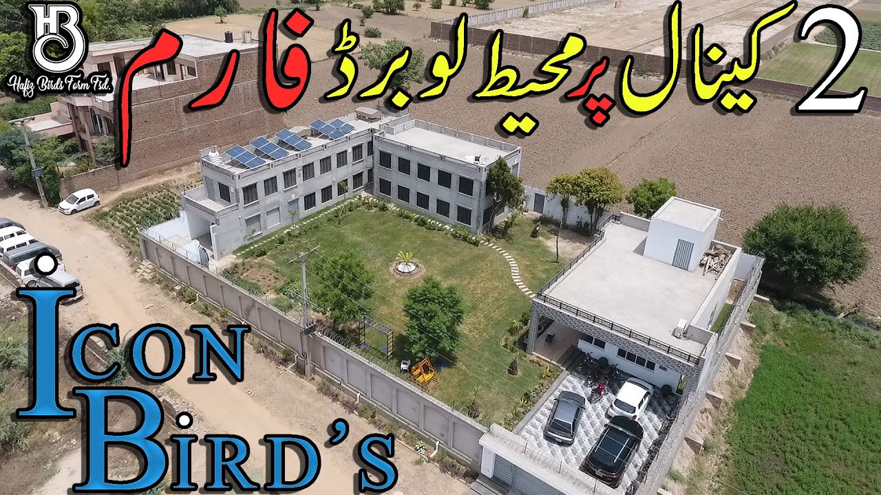 فیصل آباد میں پہلی بار2 کینال پرمشتمل لوبرڈ فارم  #HBFarm #lovebirds #breeding