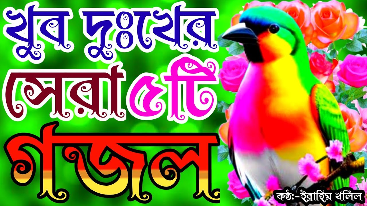 2026 সালের বাছাইকৃত খুব দুঃখের সেরা ৫টি গজল | gojol | new gojol | viral gojol | bangla gojol | গজল