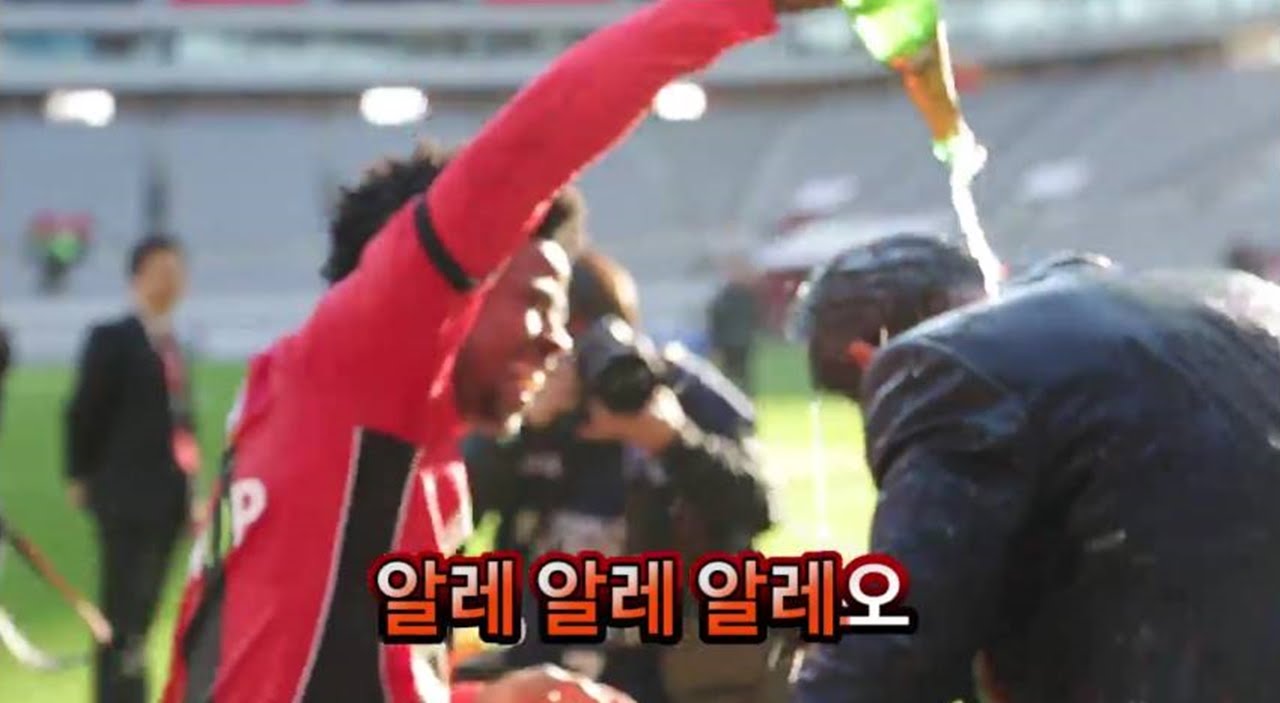 FC서울 클럽송 - FC서울의 승리를ㅣFC Seoul Anthem - Victory for FC Seoul (2016 Version)
